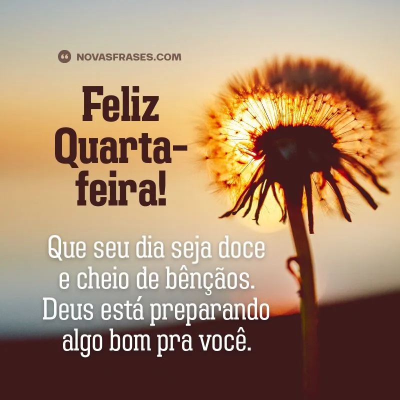 mensagem de feliz quarta-feira