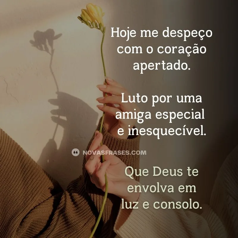 mensagem de luto amiga