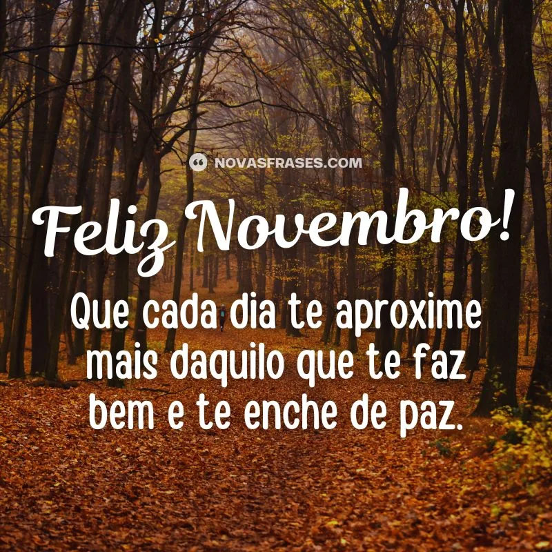 mensagem novembro