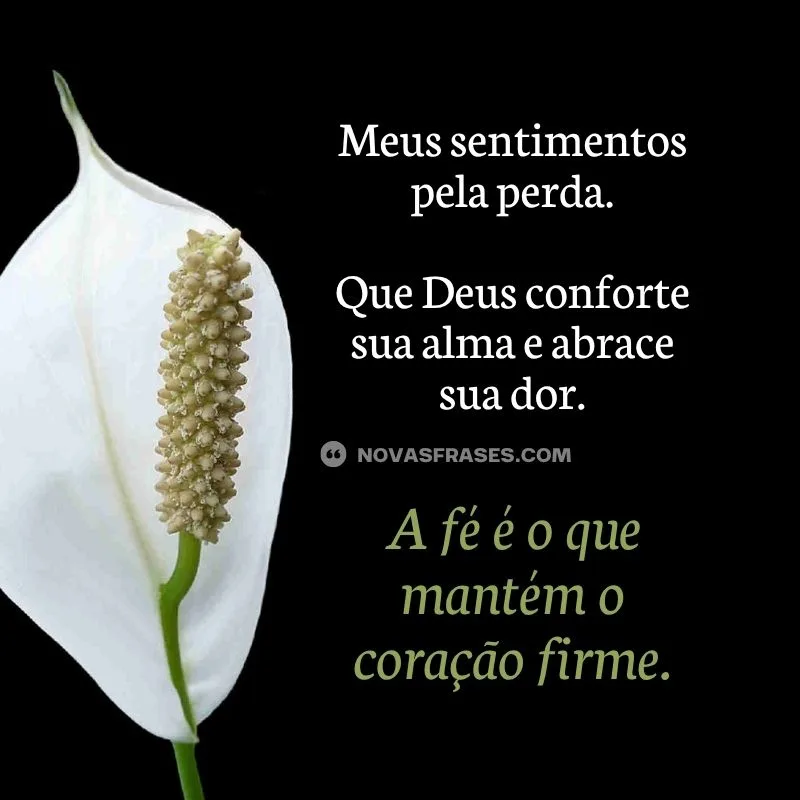 meus sentimentos pela perda