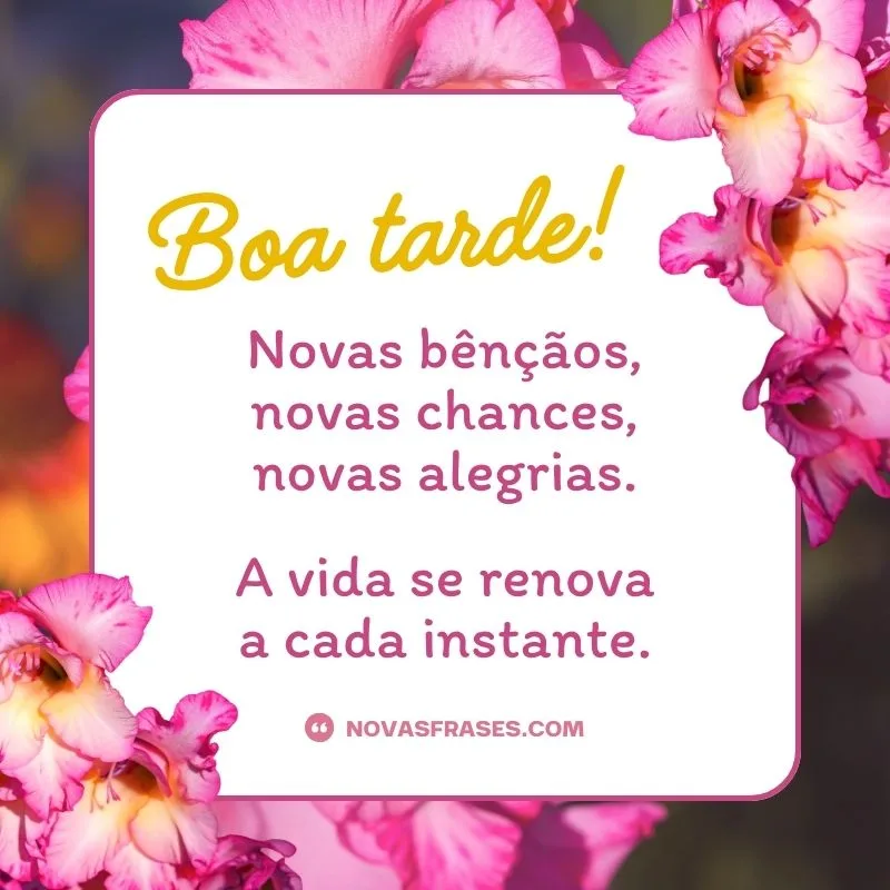 novas mensagens de boa tarde