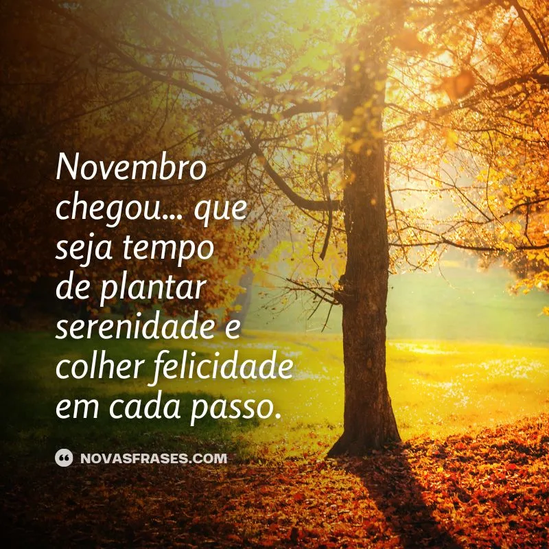 novembro chegou