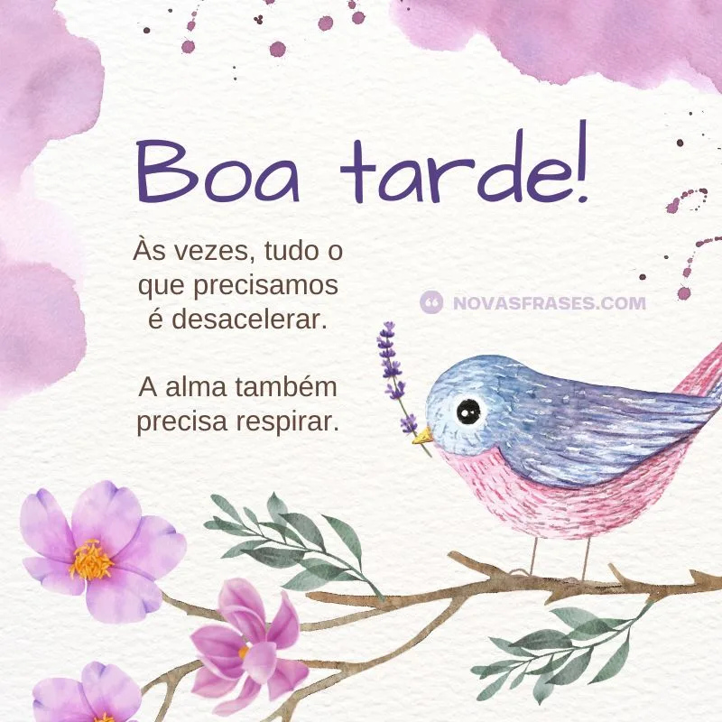 reflexão mensagem de boa tarde