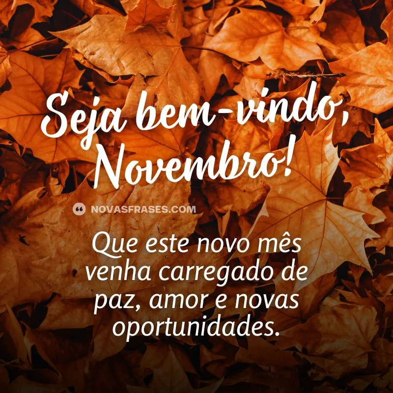 seja bem-vindo novembro