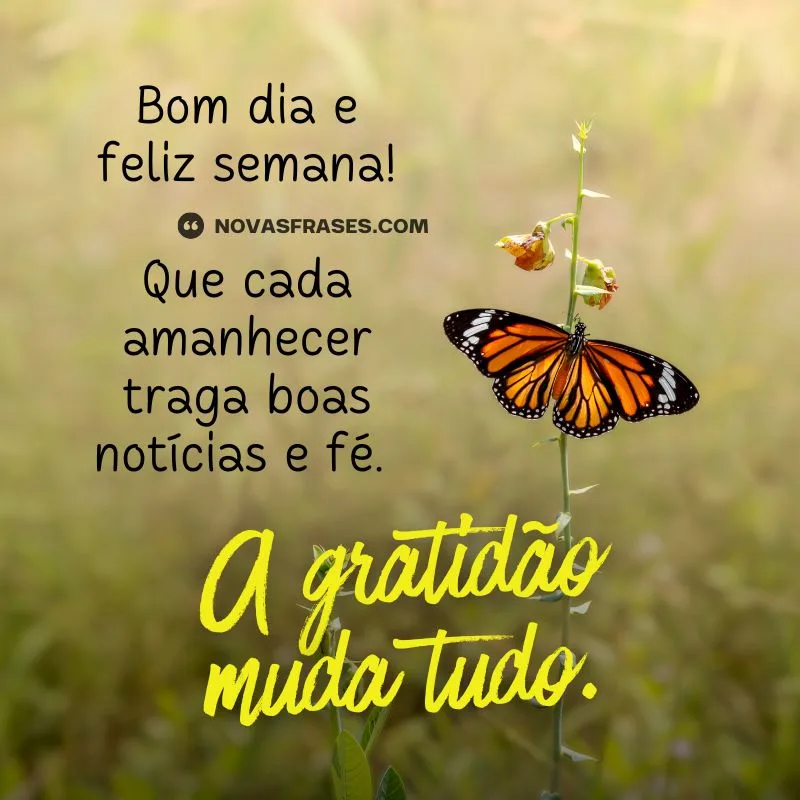 bom dia feliz semana
