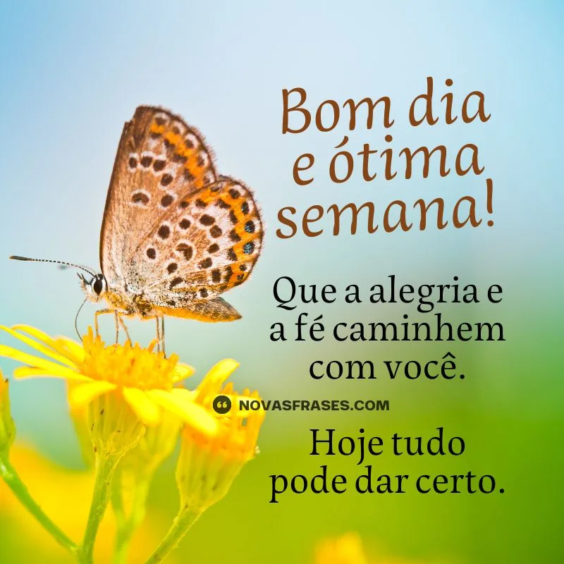 bom dia ótima semana